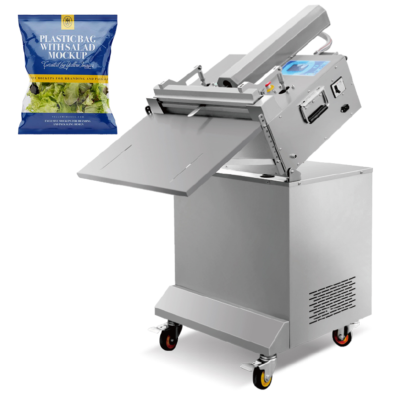 袋式氣調保鮮真空包裝機